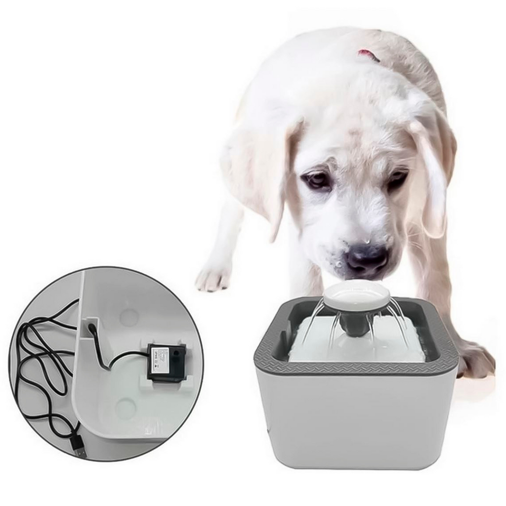 Fuente de agua automática 2.5 lts
